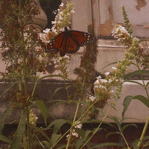 Meet your Posher, Nichole